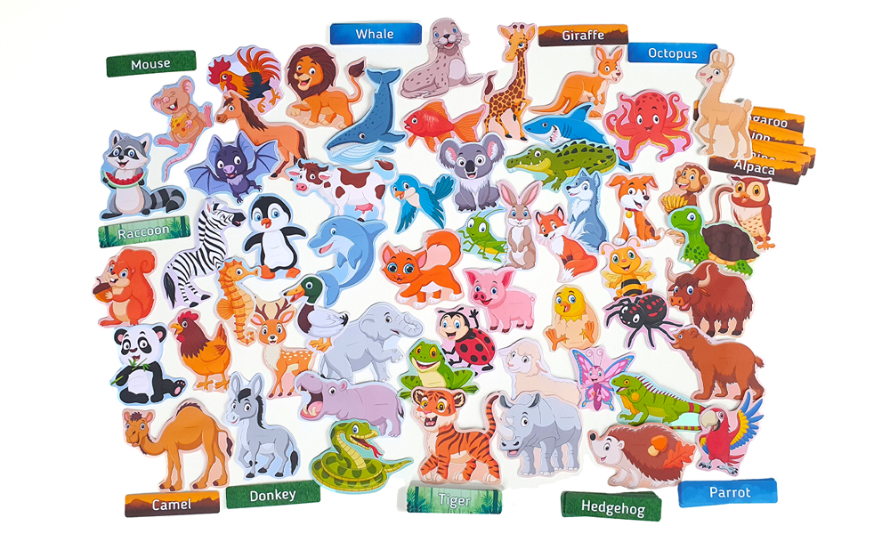 Animals | First Image