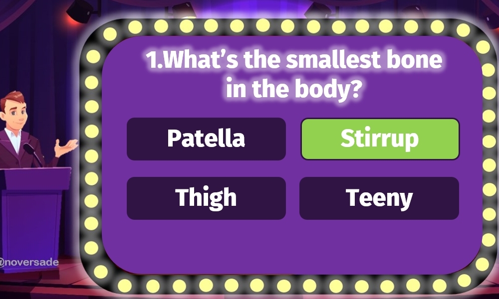 English Quiz Show | Second Image