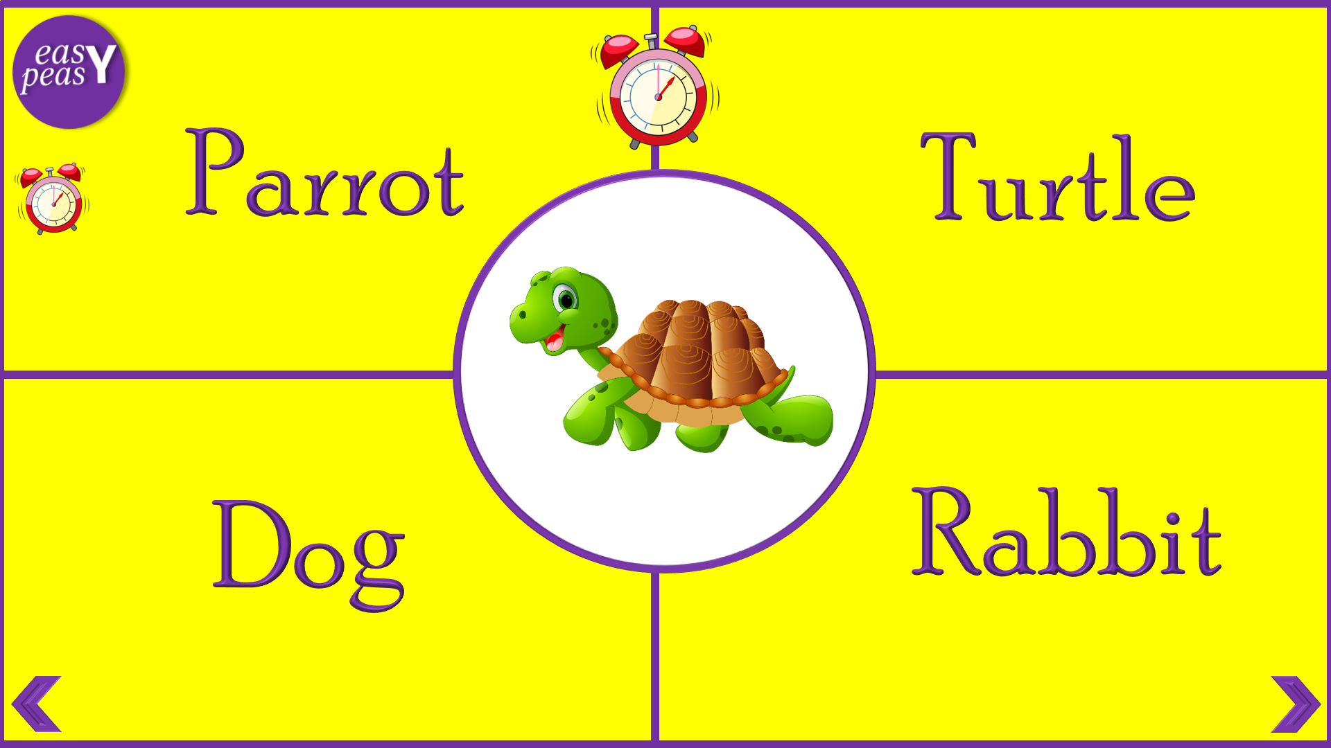 Pets Quiz | First Image